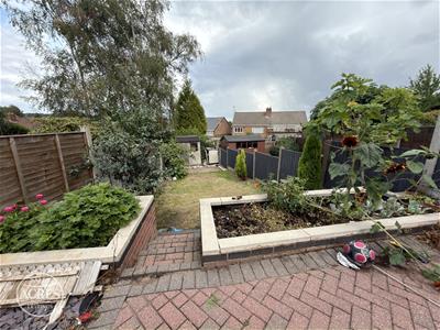 Picture 31